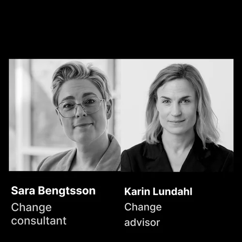 Hackalong on evolving change consulting with AI